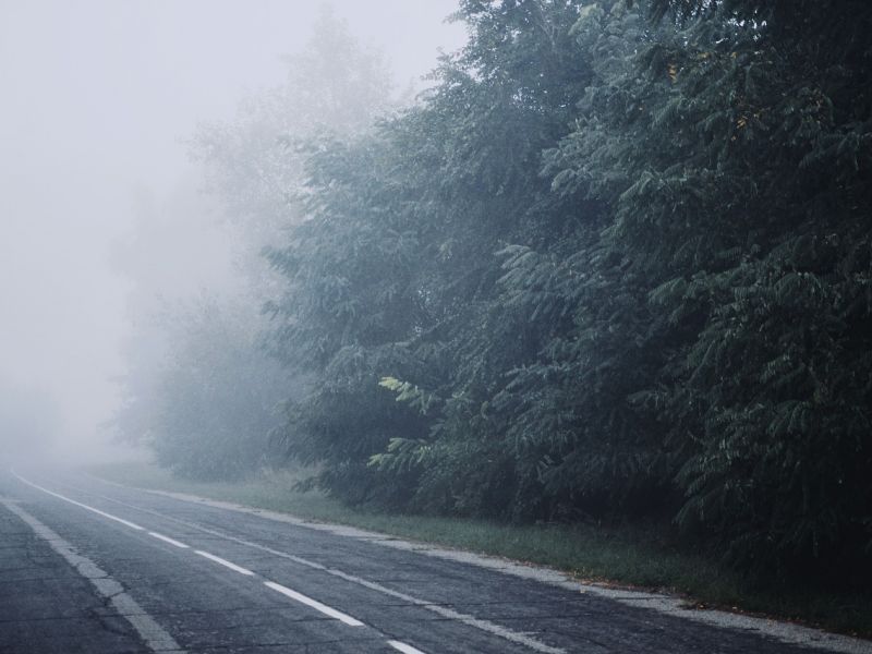 Na zdjęciu leśna droga spowita mgłą