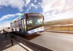 Powrót autobusów MZK na stałe trasy - aktualizacja