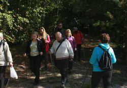 Rajd Nordic Walking w okolicach Żądłowic